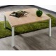 Table basse carrée 60X60xh40cm plateau stratifié et 4 pieds métal blanc, gris ou noir